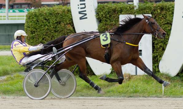 Pompano Julian mit Rudi Haller © by Karl L. Fabris und Franz Hahn