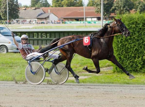 Halva von Haithabu mit Thorsten Tietz © by Fotofinish.de