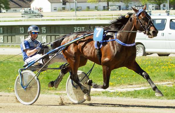 Very Special One mit Peter Platzer © by Fotofinish.de