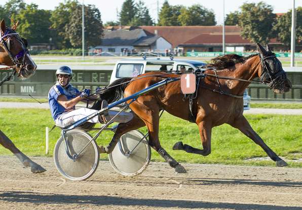 Zucchero mit Peter Platzer © by fotofinish.de