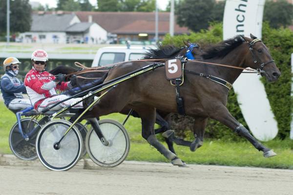 © fotofinish.de   Michael Schmid mit Italiano KP